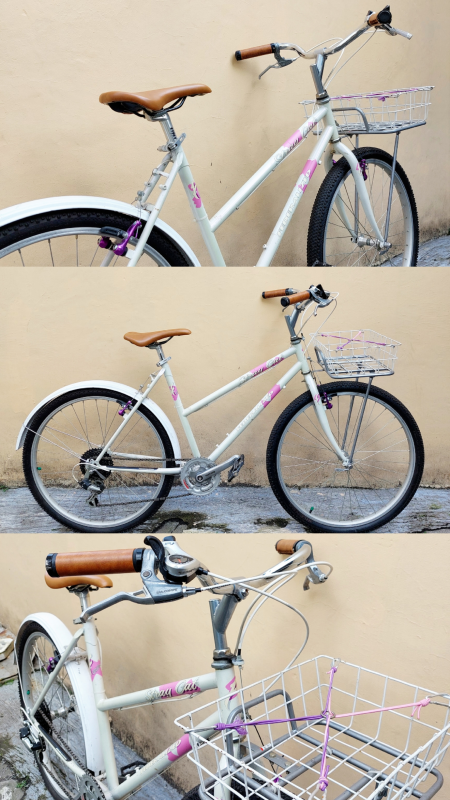Sepeda Federal Lady