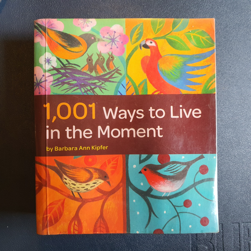1001 Ways To Live in The Moment
