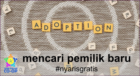 Semipalar Co-op promo