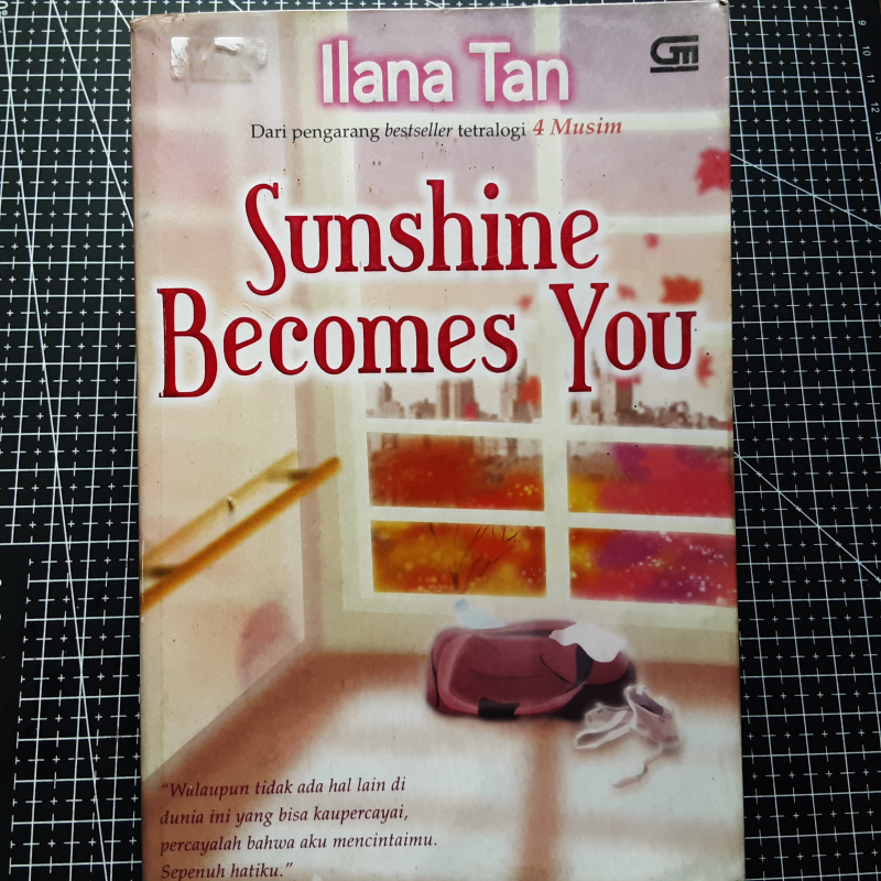 Sunshine Becomes You oleh Ilana Tan