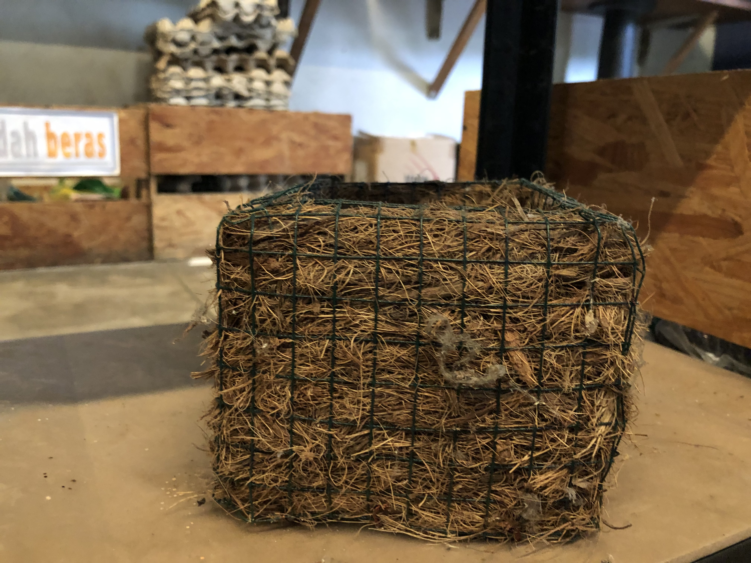 Coco Fiber Pot