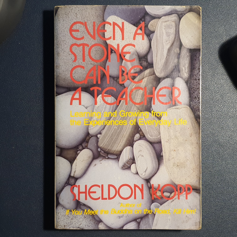 Even The Stone Can Be a Teacher | Sheldon Kopff